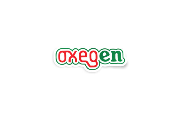 Oxegen Festival Glossy Sticker