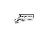 Boyzone Glossy Sticker - Image 2
