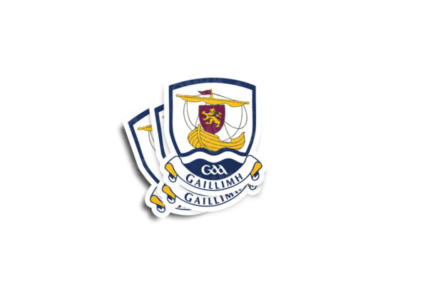 Galway GAA Glossy Sticker - Image 2