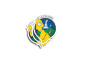 Leitrim GAA Glossy Sticker - Image 2