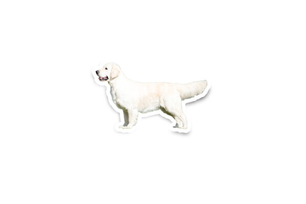 Turn Your Pet Into A Glossy Sticker - Image 4