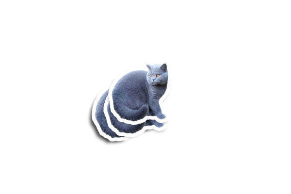 Turn Your Pet Into A Glossy Sticker