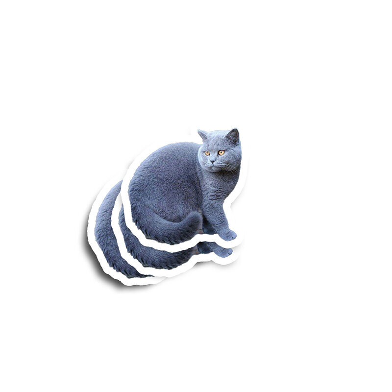 Turn Your Pet Into A Glossy Sticker
