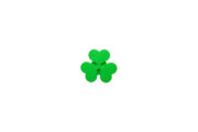 Aer Lingus Retro Shamrock Clog Shoe Charm