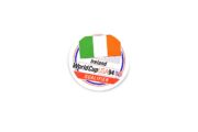 Ireland World Cup USA 1994 Qualifier Glossy Stickers