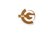 TnaG 1996 Logo Glossy Stickers